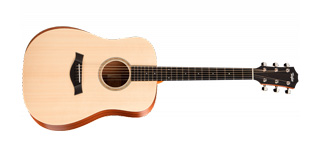 Taylor10e