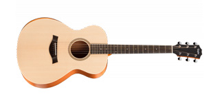 TaylorA12e.jpg